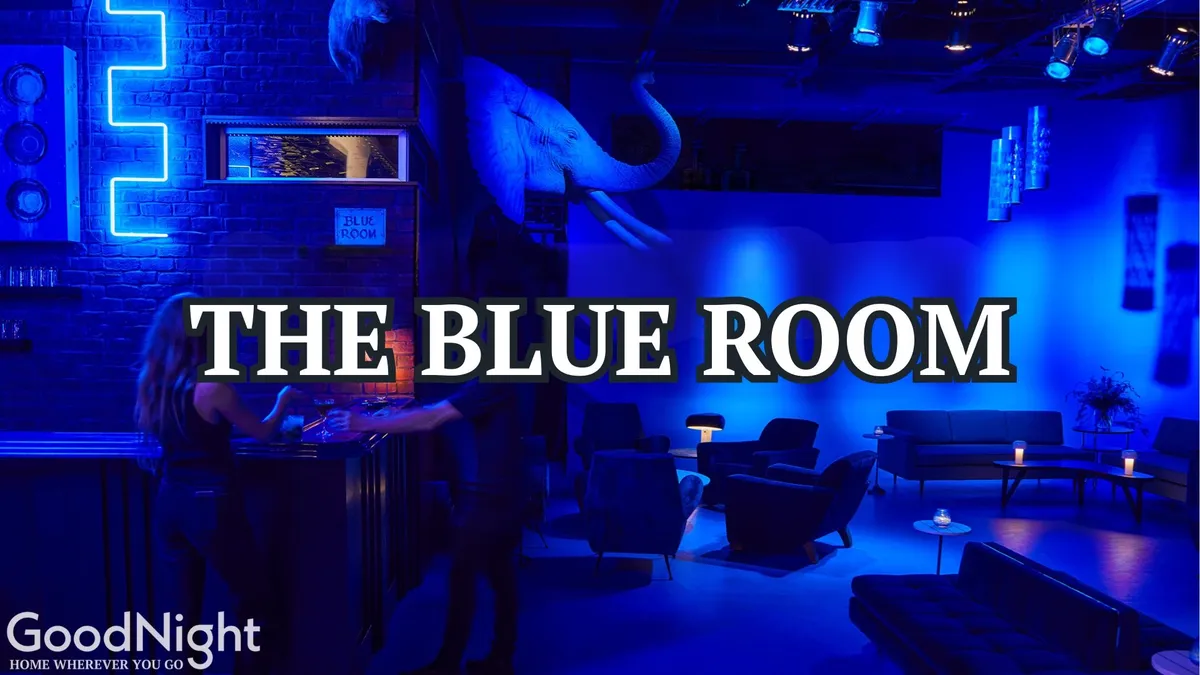 A chill, contemporary living area with blue accent lighting, stylish elephant decor, and plush seating. The furniture arrangement encourages small group conversations and relaxed hangouts, with ambient lighting creating an intimate vibe.